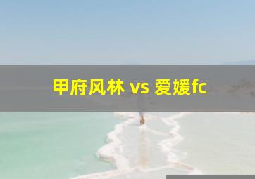 甲府风林 vs 爱媛fc